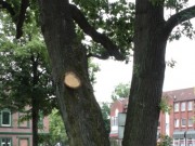 Das dritte Kriegs-"Jubiläum" in diesem Jahr