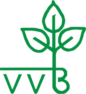 vvb-logo-gruen