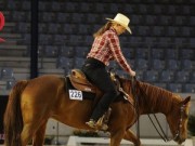 Der Wilde Westen in der stormarnschen Schweiz