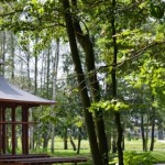 Foto-Zmigrod-Schloßgarten-11-590×280