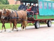 Kutschfahrten zum Kleverhof