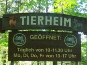 Millionengeschäft mit Rassewelpen