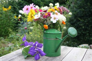 Foto: fotolia
