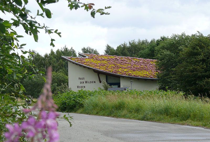 Haus der Wilden Weiden