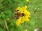 Noch schnell mitmachen: Stormarner Kulturpreis