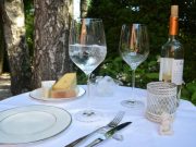 Kindertag, Food-Trucks und Weißes Dinner