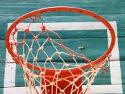 TSV Bargteheide Bees setzen sich zum Saisonauftakt durch