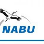 nabu