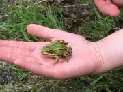 Fahrradtour zum NABU mit den Bargteheider Grünen