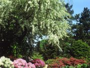 AG 60plus fährt zum Arboretum in Ellerhoop