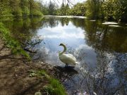 Schöne Aussichten auf dem Schwanenweg