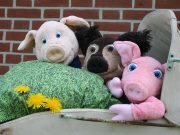 Fest zum Weltkindertag