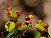 Stormarner Grüne laden zur Wahlparty ein