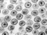 HIV und STI-Testwochen