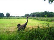 Wildkameras im Unterrichtseinsatz