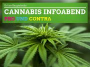 Cannabis – pro und contra