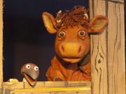 Mama Muh auf Tour in Stormarn