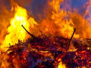 Holzabschnitte entsorgen