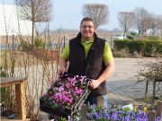 Frühlingsauftakt in der Gartenbaumschule Andresen