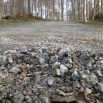 AutobahnWaldweg im Landeswald in Reinfeld(1)