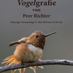 Vogelgrafie