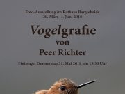 Jahresschau der VHS-Fotogruppe „Spektrum“ zum Thema „Regen“ im Café Kock