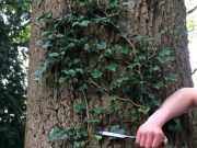 Bau dein letztes Haus selbst