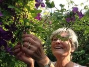 Von der Madonnenlilie zu den Blumen des Bösen