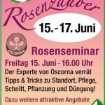 rosenseminar