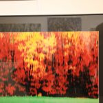 IMG_8608