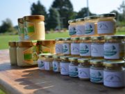 36. Fischbeker Volkslauf mit vielen Überraschungen