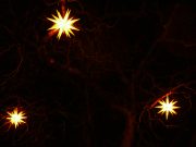 Endlich Weihnachtsstimmung