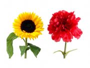 Mehr Geld für die Straßensozialarbeit in Bargteheide