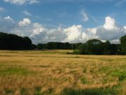 „Die Ahrensburger Kultur: Wie lebte es sich in einer Eiszeit?“