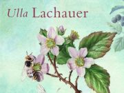 „Von Bienen und Menschen“