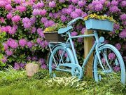 Fahrradtour des ADFC Ahrensburg zum Hamburger Stadtpark