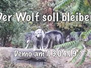 Bargteheider basteln für Demo