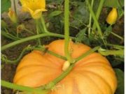 Kleine Kinder ganz groß!