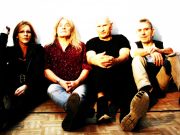 Canadian Roots & Rock