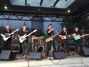 Mickey´s-Monkees im Teufels