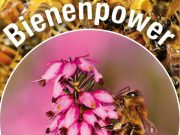 Heidepracht und Bienenpower bei Andresens in Bargteheide bereit