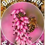 heidepracht und bienenpower andresen 09 2019
