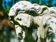 Sterben und Tod – Wie gehen wir damit um?