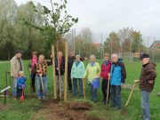 VVB pflanzt mit dem LandFrauenVerein den Baum des Jahres