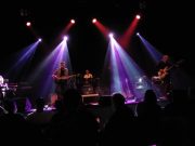 Fools Paradise aus Dånemark im Teufels