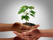 Beratung zur Vorsorge in Bargteheide