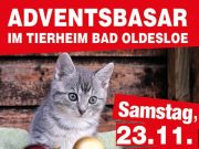 Adventsbasar im Tierheim