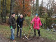 VVB pflanzt eine Magnolie vor dem Stadthaus