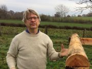Apfel, Birne, Kirsche, Quitte