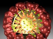 Landesregierung setzt die angekündigten Öffnungsschritte zum 17. Mai in Kraft – Kreis verlängert Allgemeinverfügungen